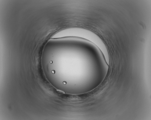 X0000113030215200909101904