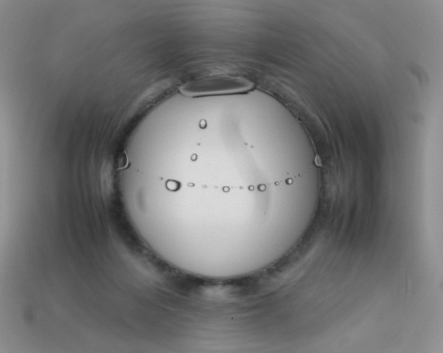 X0000113030216200909101904