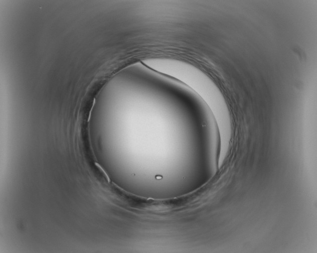 X0000113030217200909101904