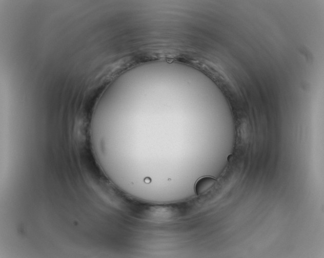 X0000113030218200909101904