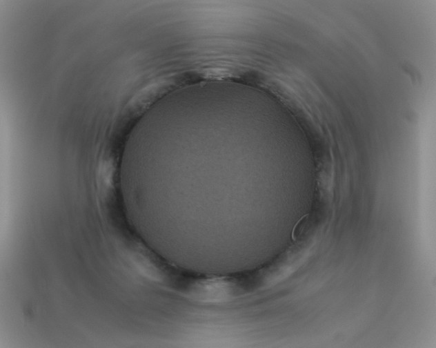 X0000113030219200909101904