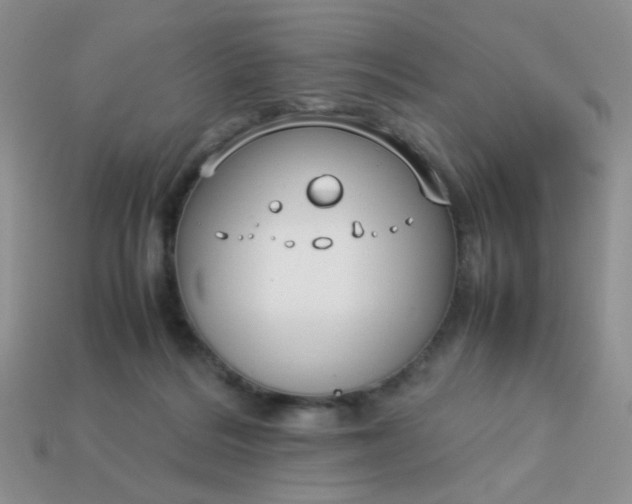 X0000113030220200909101904