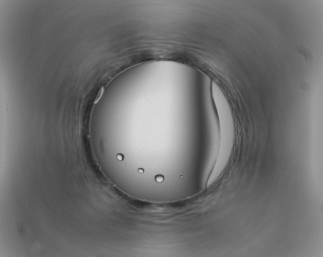 X0000113030221200909101904