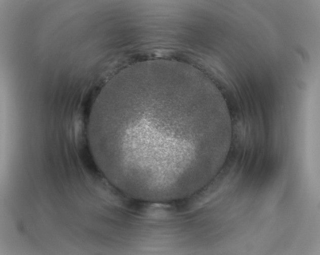 X0000113030222200909101904