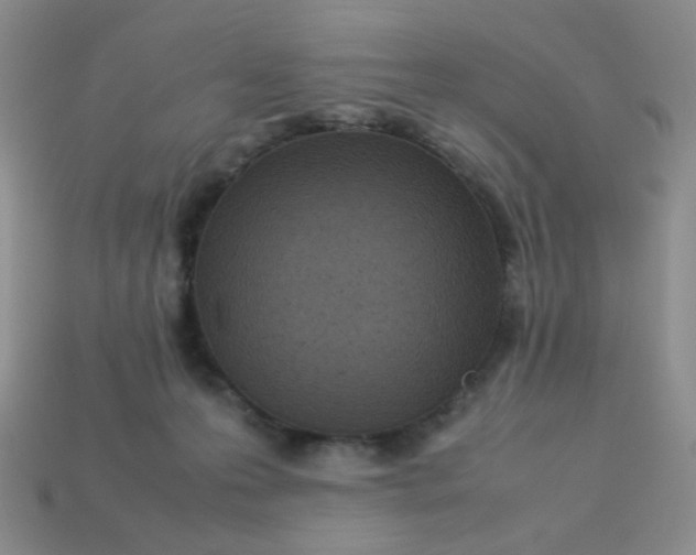 X0000113030223200909101904