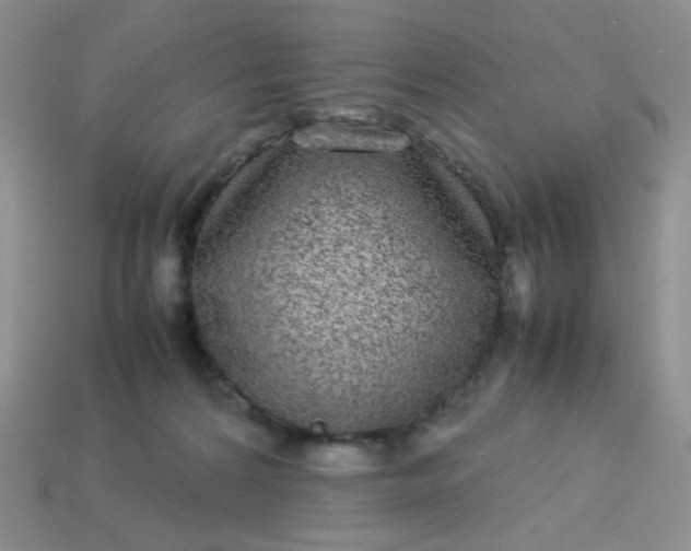 X0000113030224200909101904