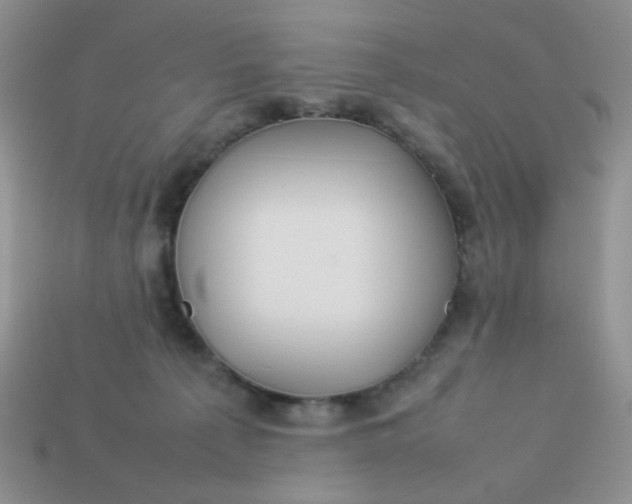 X0000113030225200909101904