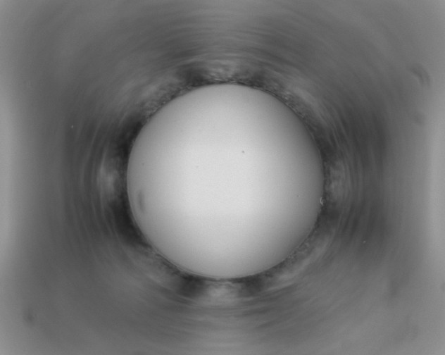 X0000113030226200909101904