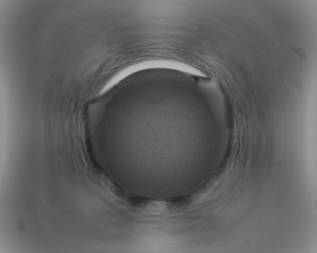 X0000113030227200909101904