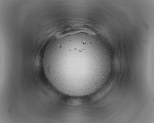 X0000113030228200909101904