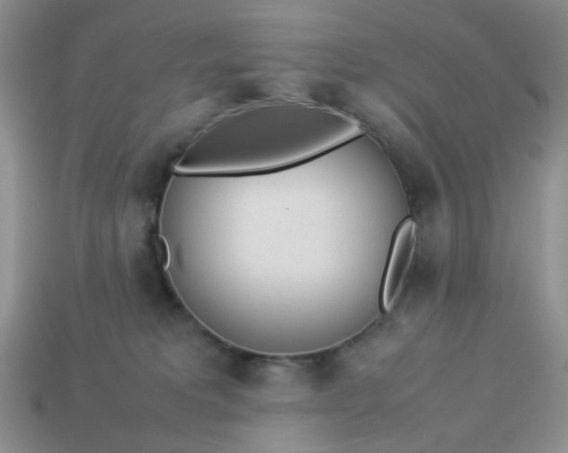 X0000113030229200909101904