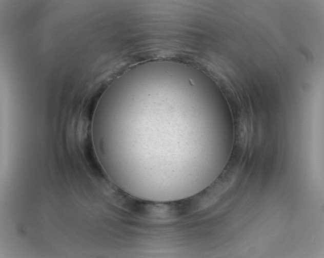 X0000113030230200909101904