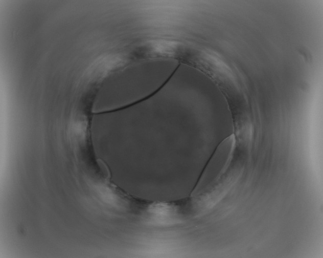 X0000113030231200909101904