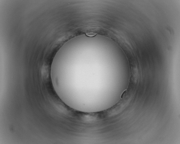 X0000113030232200909101904