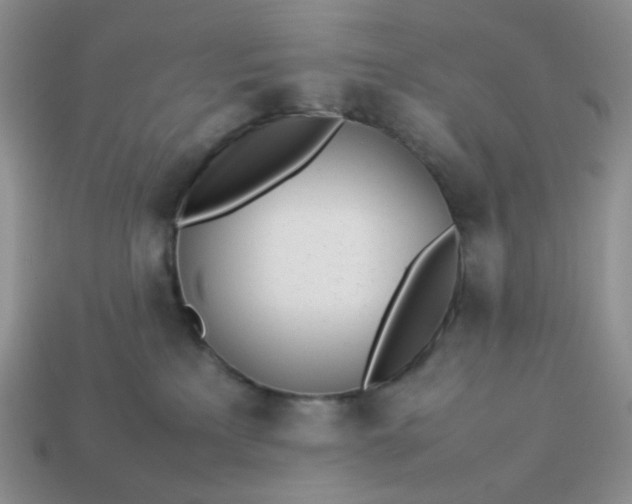 X0000113030233200909101904