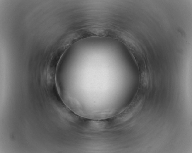 X0000113030234200909101904