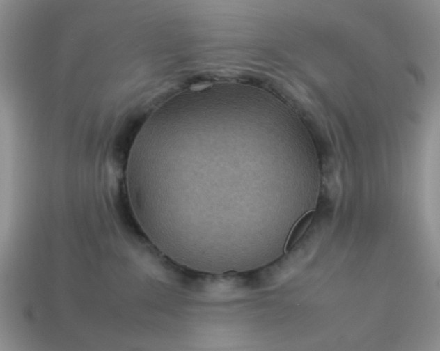 X0000113030235200909101904