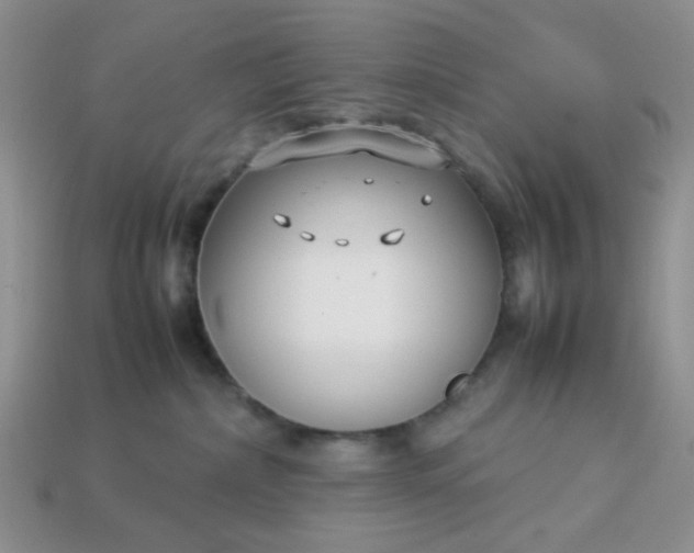 X0000113030236200909101904