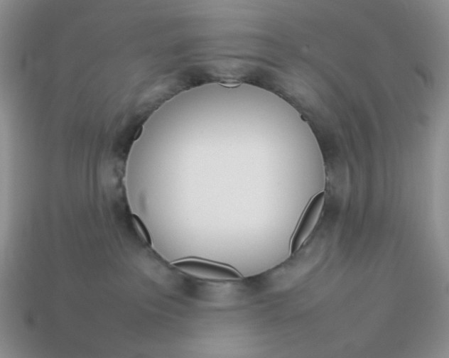 X0000113030237200909101904