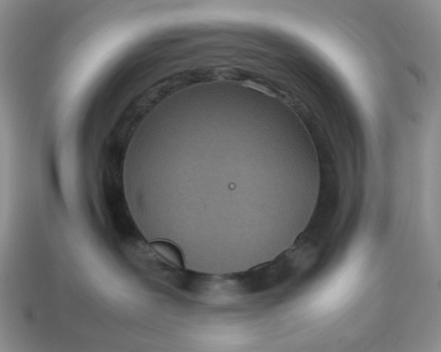 X0000113030239200909101904