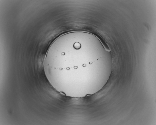 X0000113030240200909101904