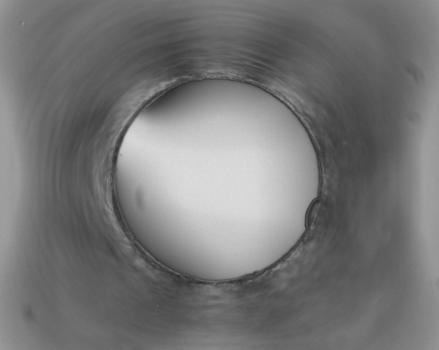 X0000113030241200909101903