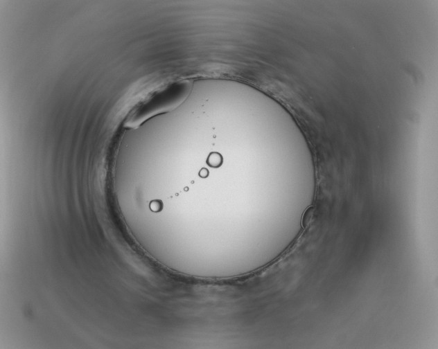 X0000113030242200909101903