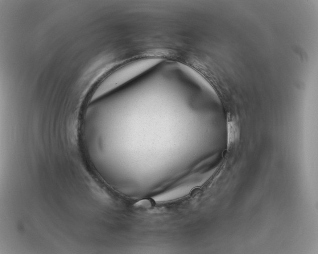 X0000113030243200909101903