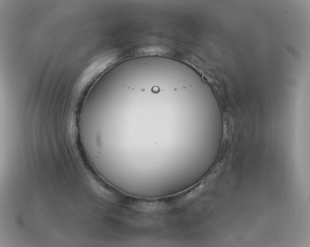 X0000113030245200909101903