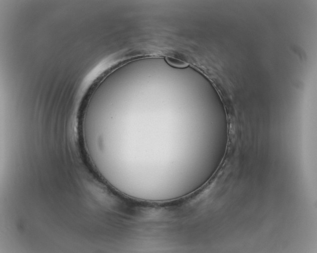 X0000113030246200909101903