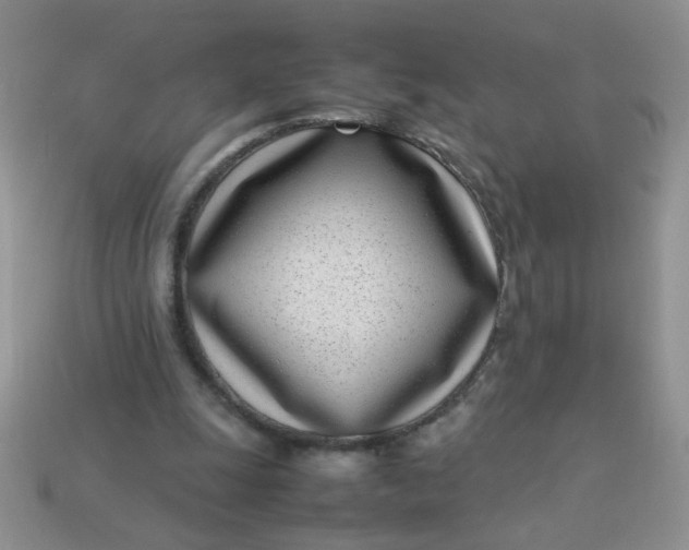 X0000113030247200909101903