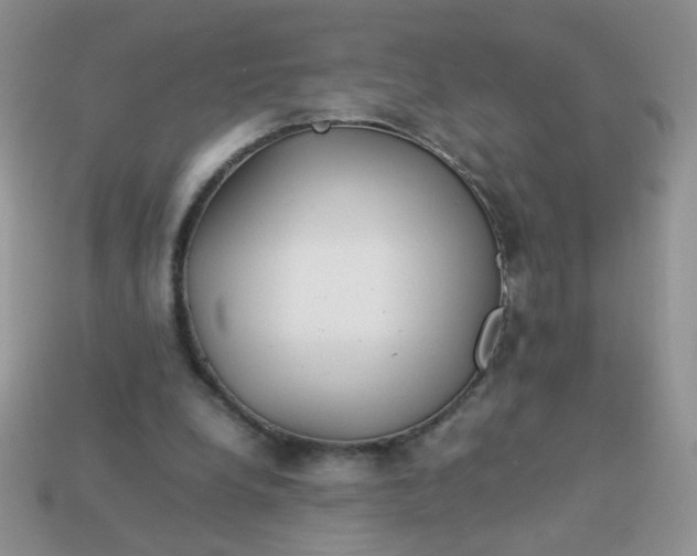 X0000113030248200909101903