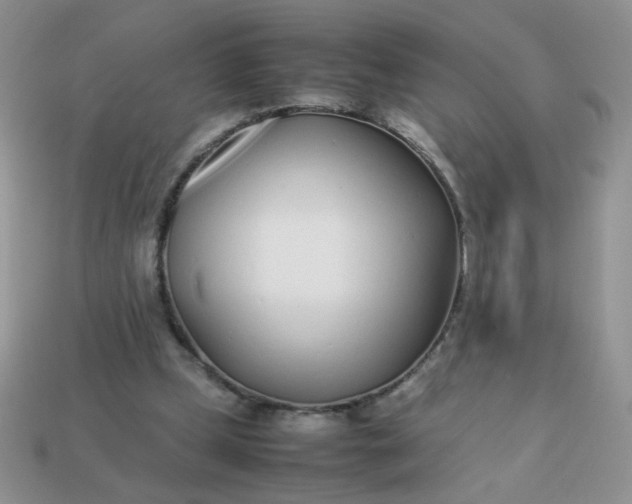 X0000113030249200909101903