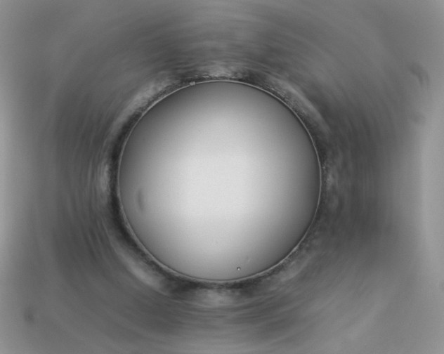 X0000113030250200909101903