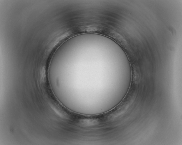 X0000113030251200909101903