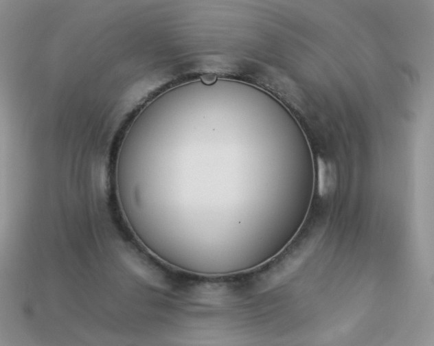 X0000113030252200909101903