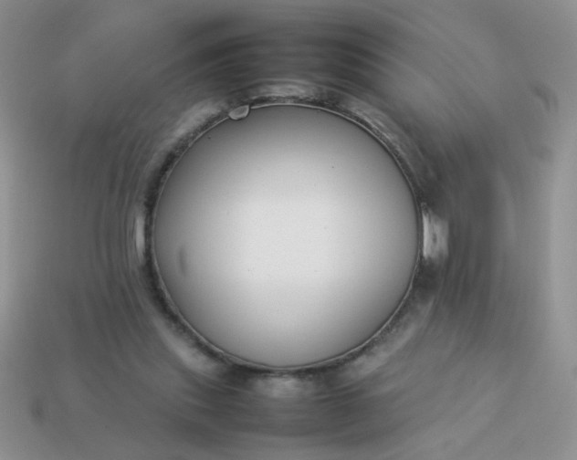 X0000113030253200909101903