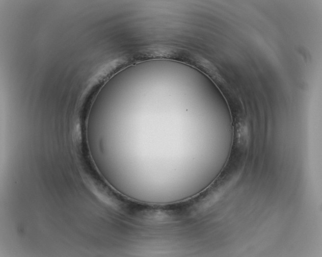 X0000113030254200909101903