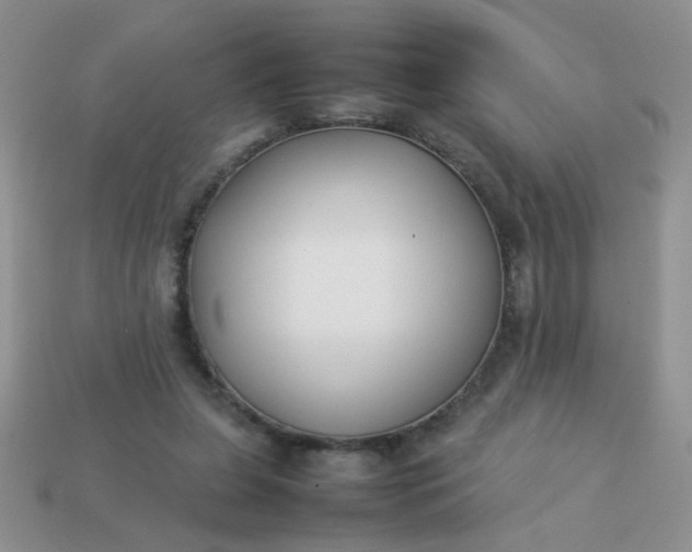 X0000113030255200909101903