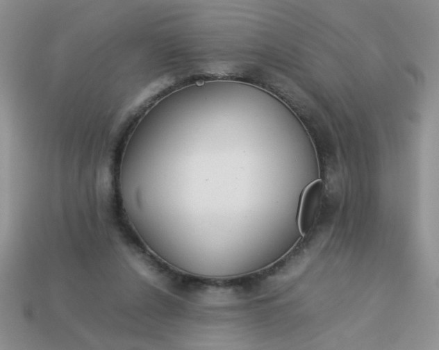 X0000113030256200909101903