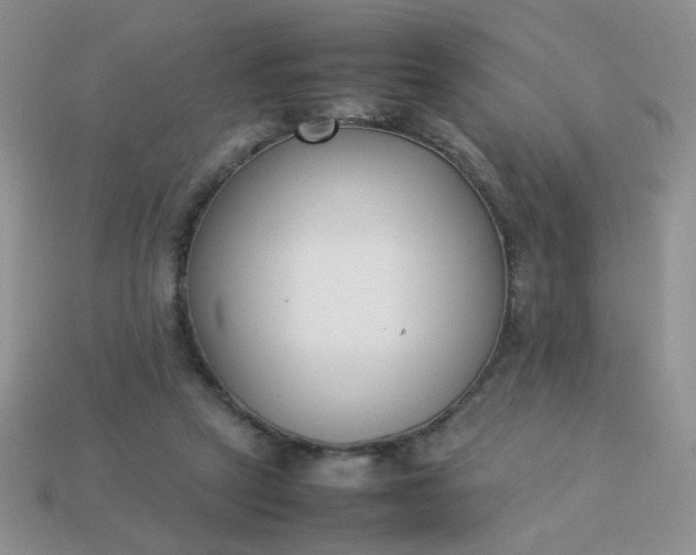 X0000113030257200909101903