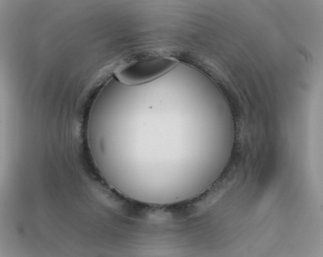 X0000113030258200909101903