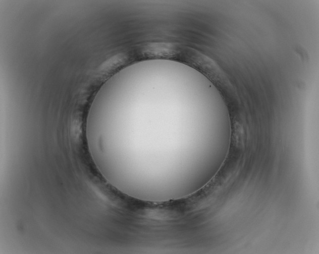 X0000113030259200909101903