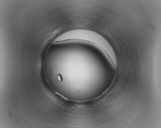 X0000113030260200909101903