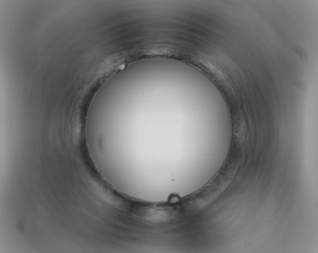 X0000113030261200909101903