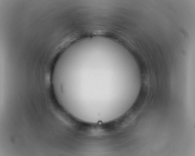 X0000113030262200909101903