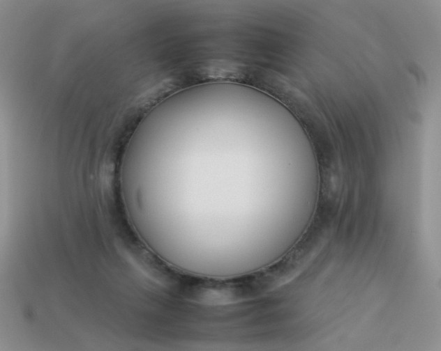 X0000113030263200909101903