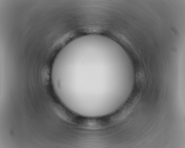 X0000113030264200909101903