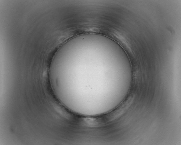 X0000113030265200909101904