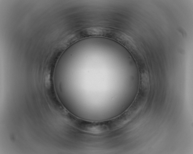 X0000113030267200909101904